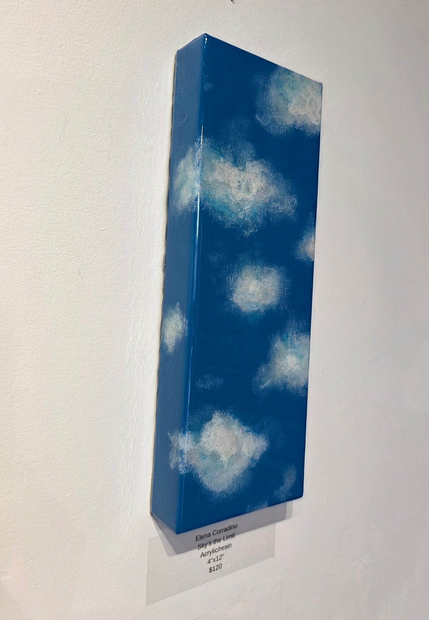 "Sky's the Limit" by Elena Corradino