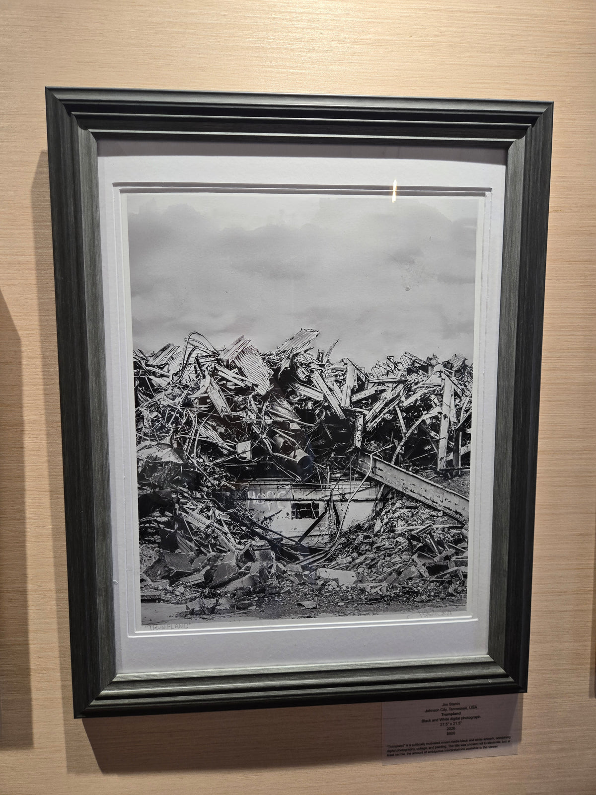 "Trumpland" by Jim Stanin