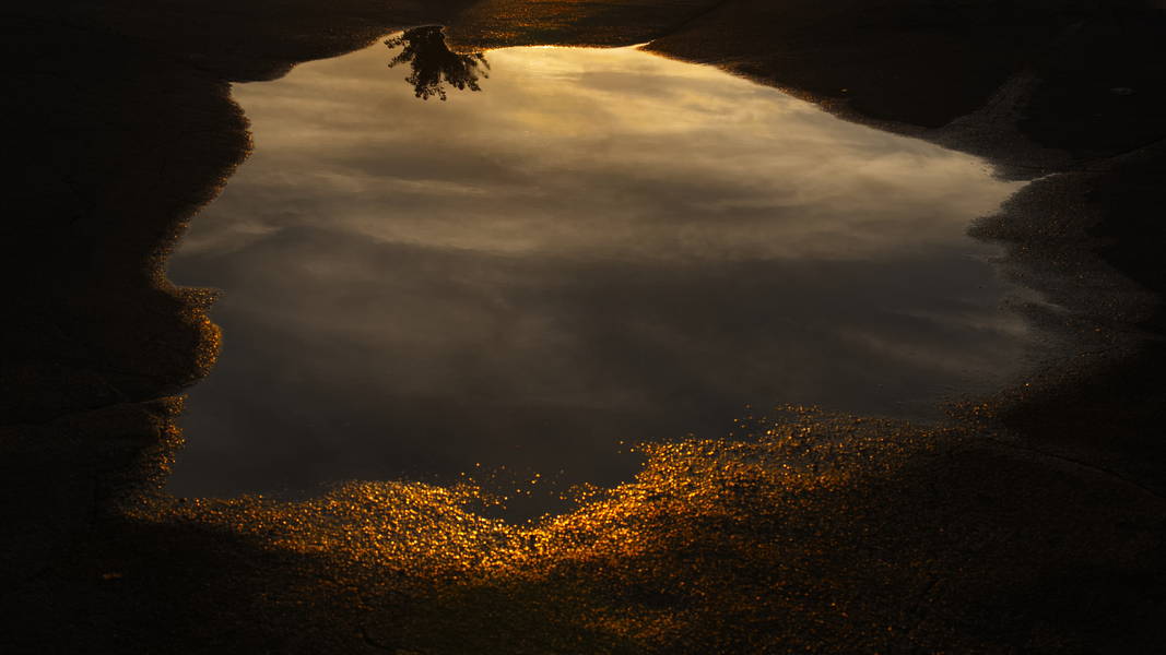 "I shan't be gone long.-- You come too" by Arthur Hall