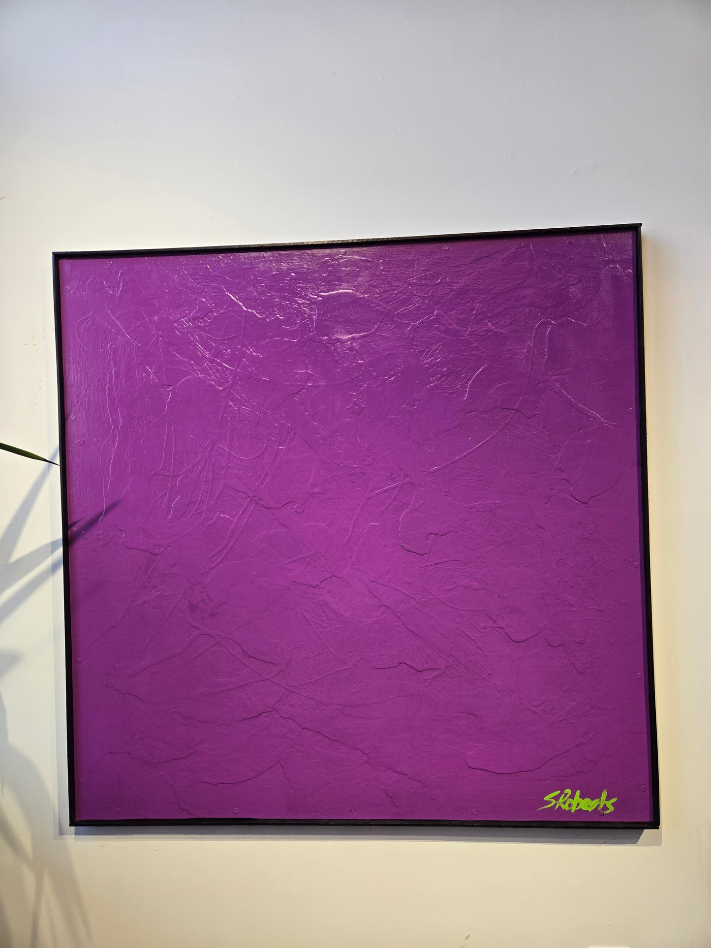 "Touch Me Feel Me See Me" by Steve Roberts