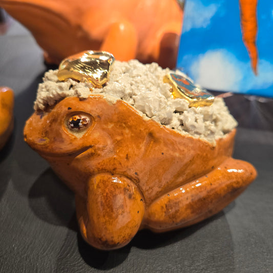 "Russetta The Potatoad " by Kalliope Yvonne