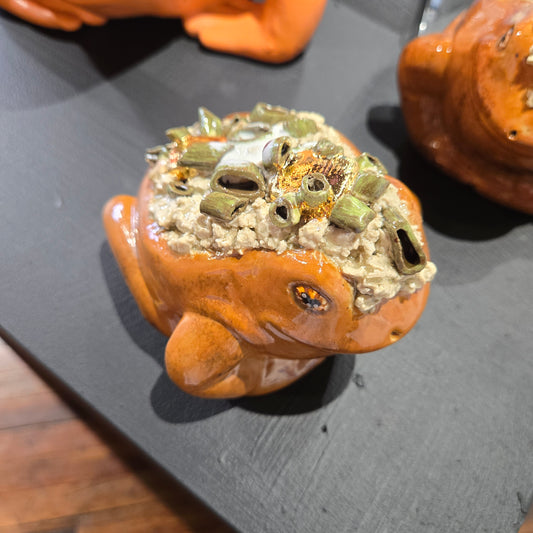 "Spudley The Potatoad " by Kalliope Yvonne