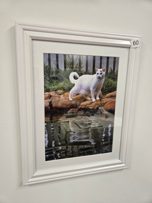 "Briggs o the pond" by Kaylynn Wilster