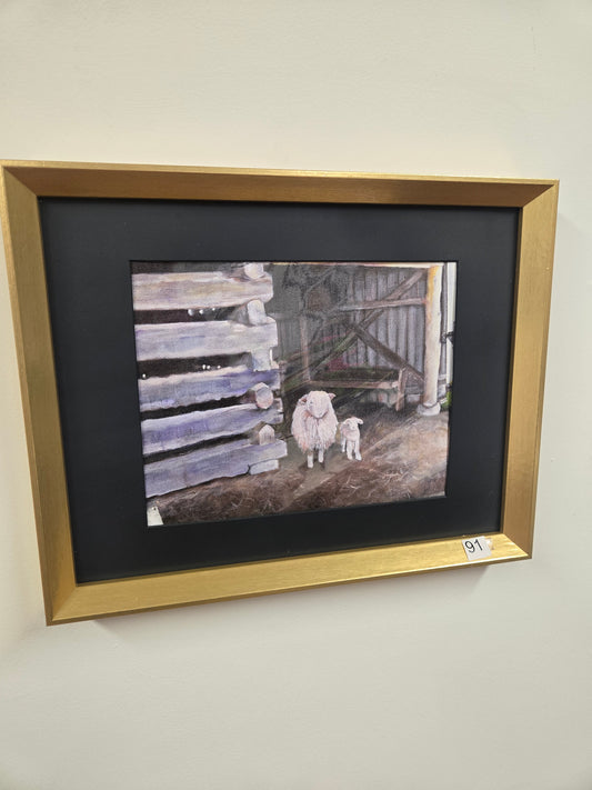 "Sheeps for shear" by Diana Lynn Tucker