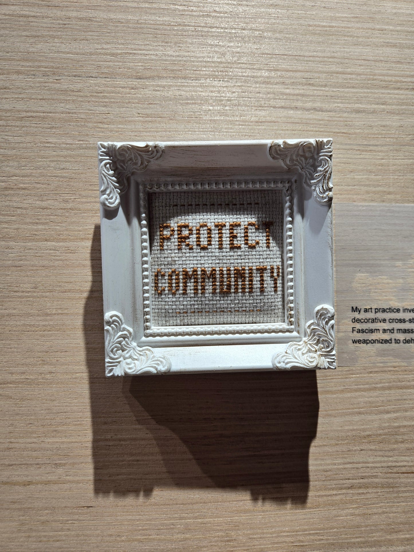 "PROTECT COMMUNITY" by Jenny E. Balisle