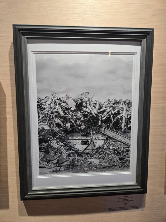 "Trumpland" by Jim Stanin