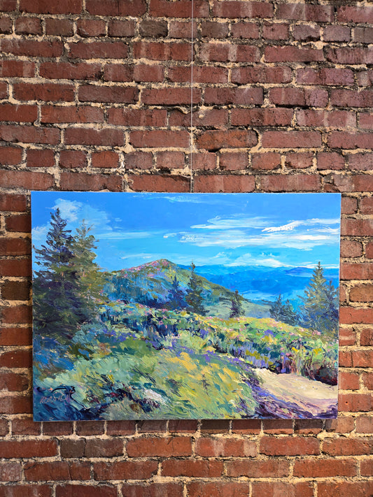 "View from Grassy Ridge" by Nancy Jane Earnest