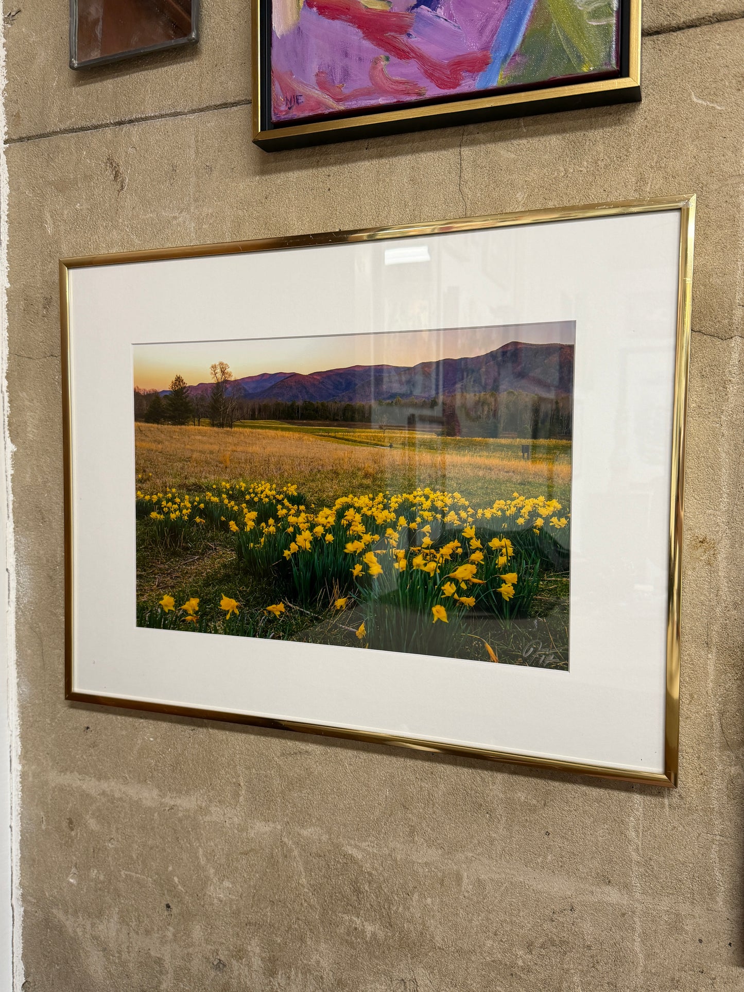"Daffodils & alpine glow" by Joshua Moore